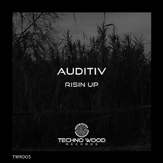 Risin Up by Auditiv