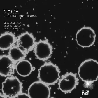 Nothing But House by Nach