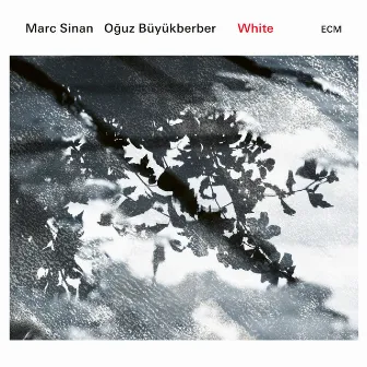 White by Marc Sinan