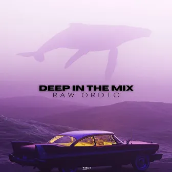 Deep in the Mix by Raw Ordio