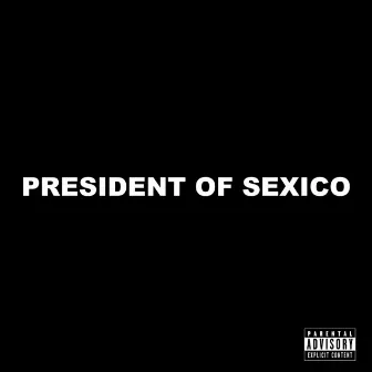 PRESIDENT OF SEXICO by STEIN27