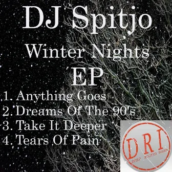 Winter Nights EP by DJ Spitjo