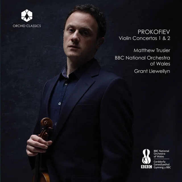 Violin Concerto No. 1 in D Major, Op. 19: I. Andantino