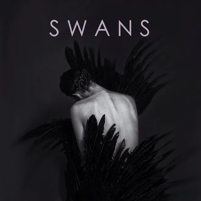 Swans (feat. Sarah Llewellyn)