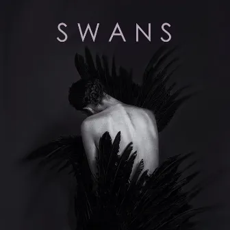 Swans (feat. Sarah Llewellyn) by Henry Pope