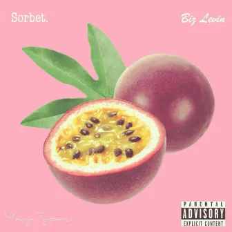 Sorbet. by Biz Levin