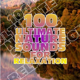 100 Ultimate Nature Sounds for Relaxation by Natale Centofanti