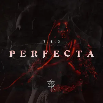 PERFECTA by T.E.O