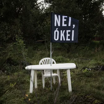 NEI, ÓKEI by Dr. Gunni