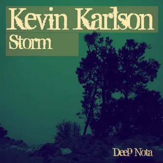 Storm by Kevin Karlson