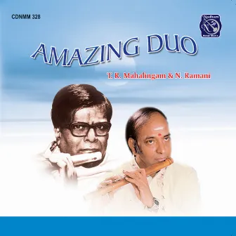 Amazing Duo by T. R. Mahalingam