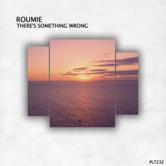 There's Something Wrong by Roumie