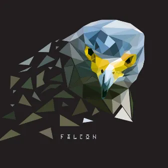 Falcon by Roma Nebo