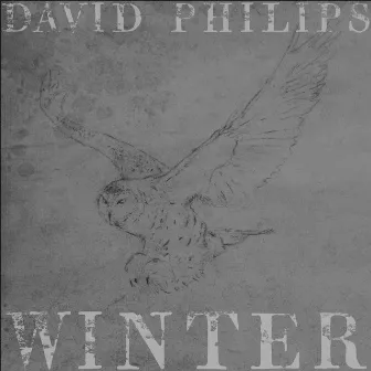 Winter by David Philips