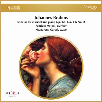 Brahms: Sonatas for Clarinet and Piano, Op. 120 No. 1 & No. 2 by Fabrizio Meloni