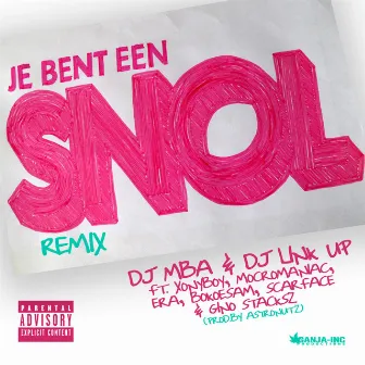 Je Bent Een Snol (Remix) by DJ MBA