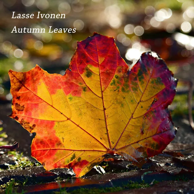 Autumn Leaves