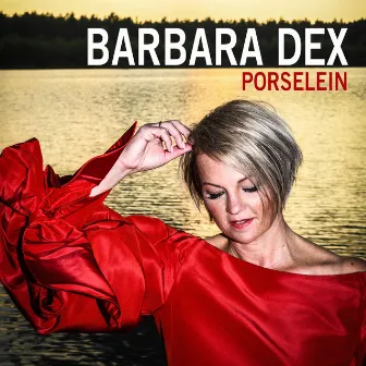 Porselein by Barbara Dex