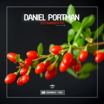 Estranged EP by Daniel Portman