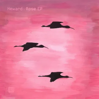 Rose by Heward