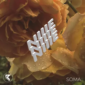 Soma by NIIIE