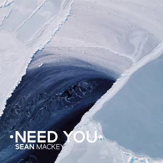 Need You by Sean Mackey