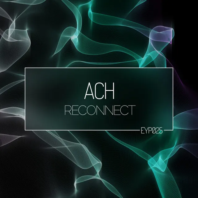 Reconnect