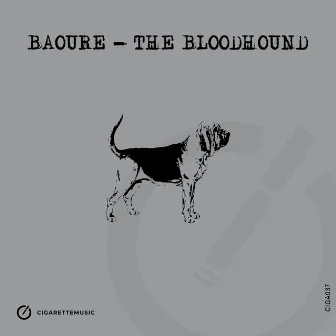 The Bloodhound by Baoure