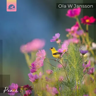 Peace by Ola W Jansson