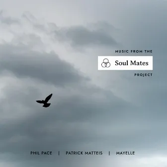 Music from the Soul Mates project by Patrick Matteis