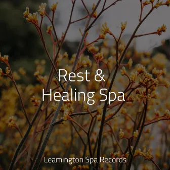 Rest & Healing Spa by Pro Sound Effects Library