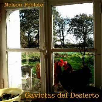 Gaviotas del Desierto by Nelson Poblete