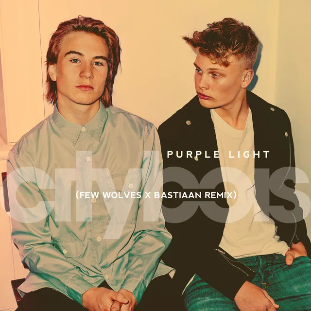 Purple Light (feat. Few Wolves) - Few Wolves & Bastiaan Remix