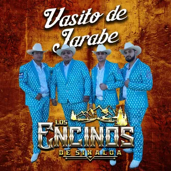 Vasito De Jarabe by Los Encinos De Sinaloa