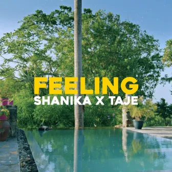 Feeling by Shanika