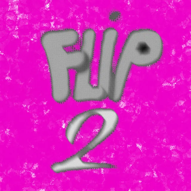 Flip 2