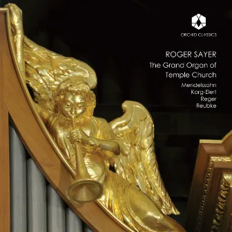 The Grand Organ of Temple Church by Roger Sayer