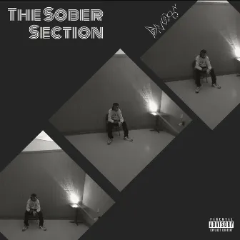 The Sober Section by Dra9oon