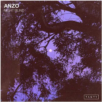 Night Blind by Anzo