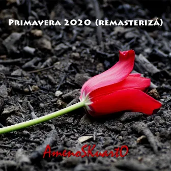 Primavera 2020 (Remasterizá) by Amenoskuarto