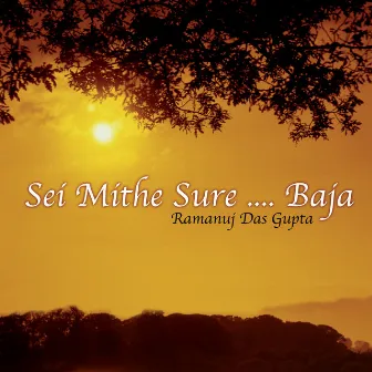 Sei Mithe Sure...Baja (Songs Of Kazi Nazrul Islam) by Ramanuj Das Gupta