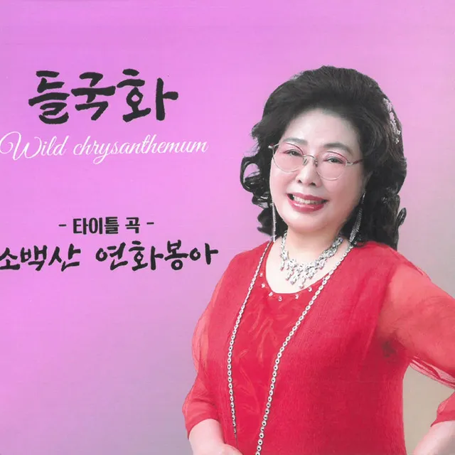 소백산 연화봉아