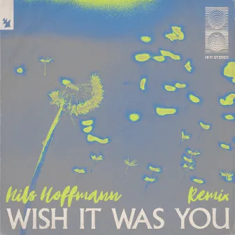 Wish It Was You (Nils Hoffmann Remix) by Cate Downey