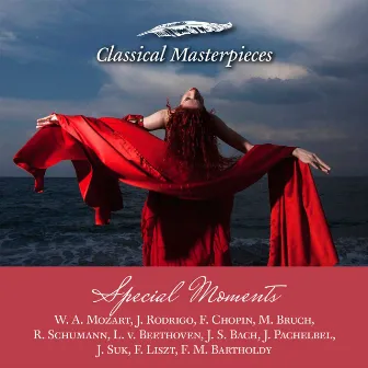 Music for Special Moments W. A. Mozart, J. Rodrigo, F. Chopin, M. Bruch, R. Schumann, L. v. Beethoven, J.S. Bach, J. Pachelbel, J. Suk, F. Liszt, F. M. Bartholdy (Classical Masterpieces) by Pavlos Hatzopoulos