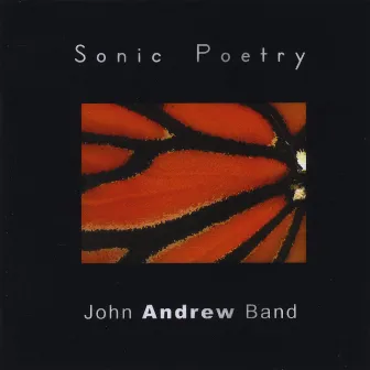 Sonic Poetry by John Andrew