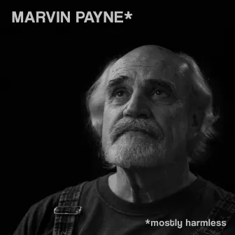 *Mostly Harmless by Marvin Payne