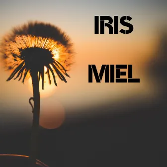 Iris Miel by BUFU