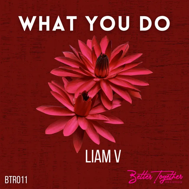 What You Do - Radio Edit