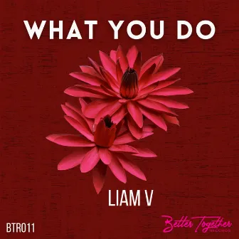 What You Do by Liam V