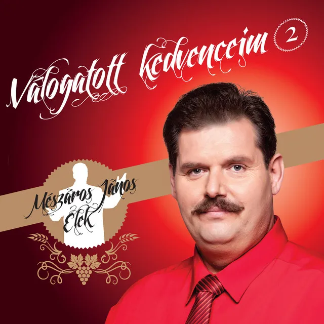 Válogatott Kedvenceim Vol.2